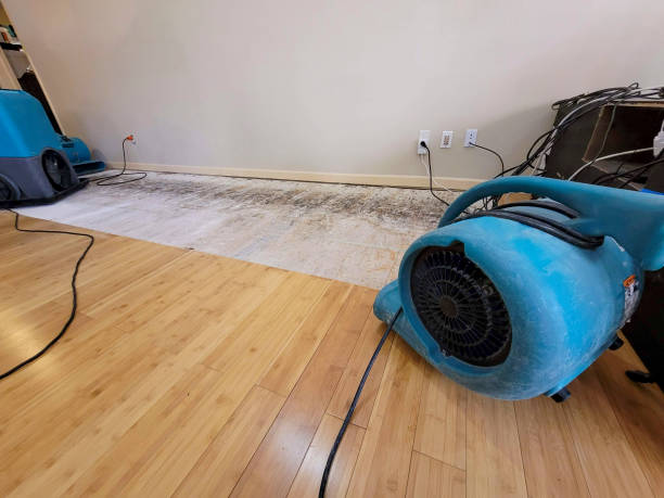 Reliable Crawl Space Water Removal contractor in Lecompton, KS by Hirex Water Damage