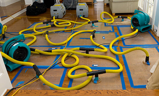 Professional Crawl Space Water Removal technician working in Lecompton, KS